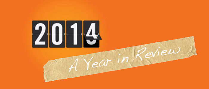 You are currently viewing 2014: A Year in Review & Lessons Learned